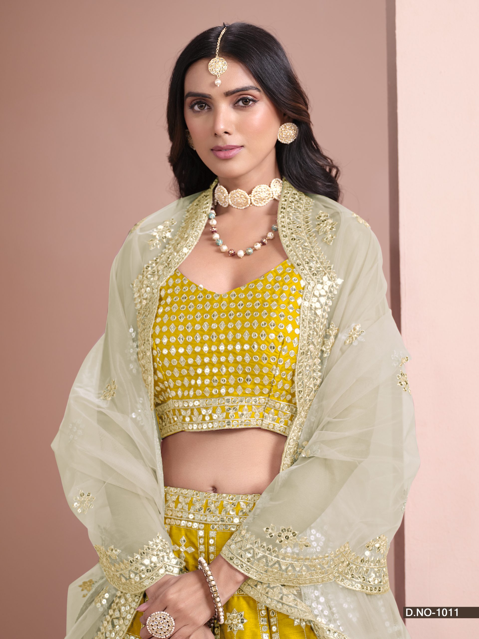 Alizeh-Bridal-Lehenga-1011-D